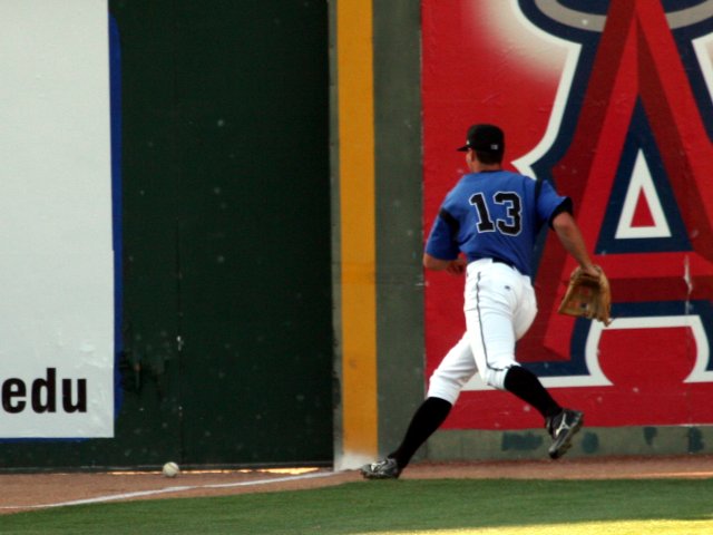 15_patrick_reilly_chases_a_fly